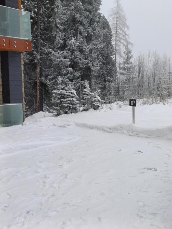 Apartman 107 Hotel Ovruc Strbske Pleso ภายนอก รูปภาพ
